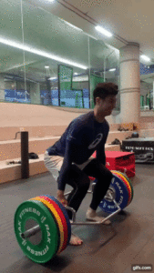 gif 12 1