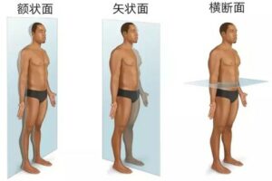圖片2