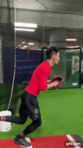 gif 24