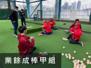 業餘成棒甲組